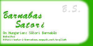 barnabas satori business card