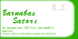 barnabas satori business card